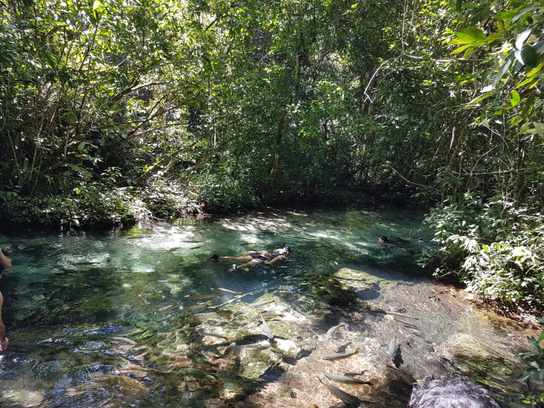 Vale das Águas