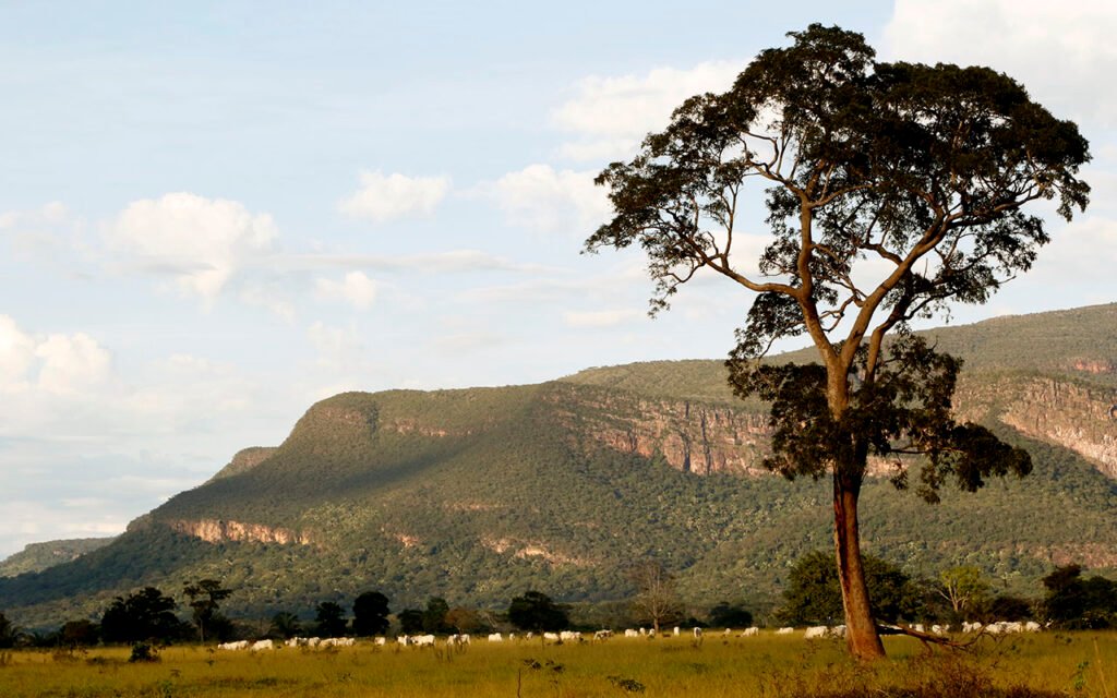 Reserva Ricardo franco