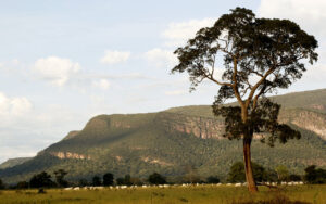 Reserva Ricardo franco