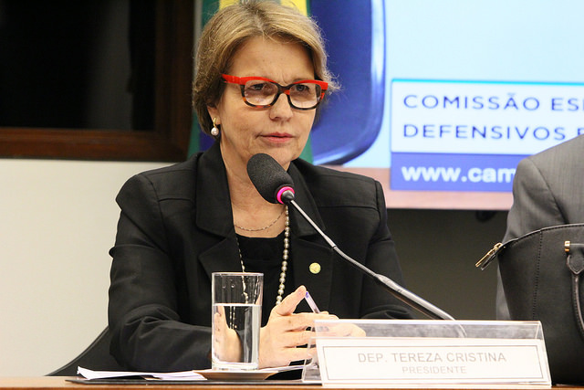 Resultado de imagem para deputada federal Tereza Cristina