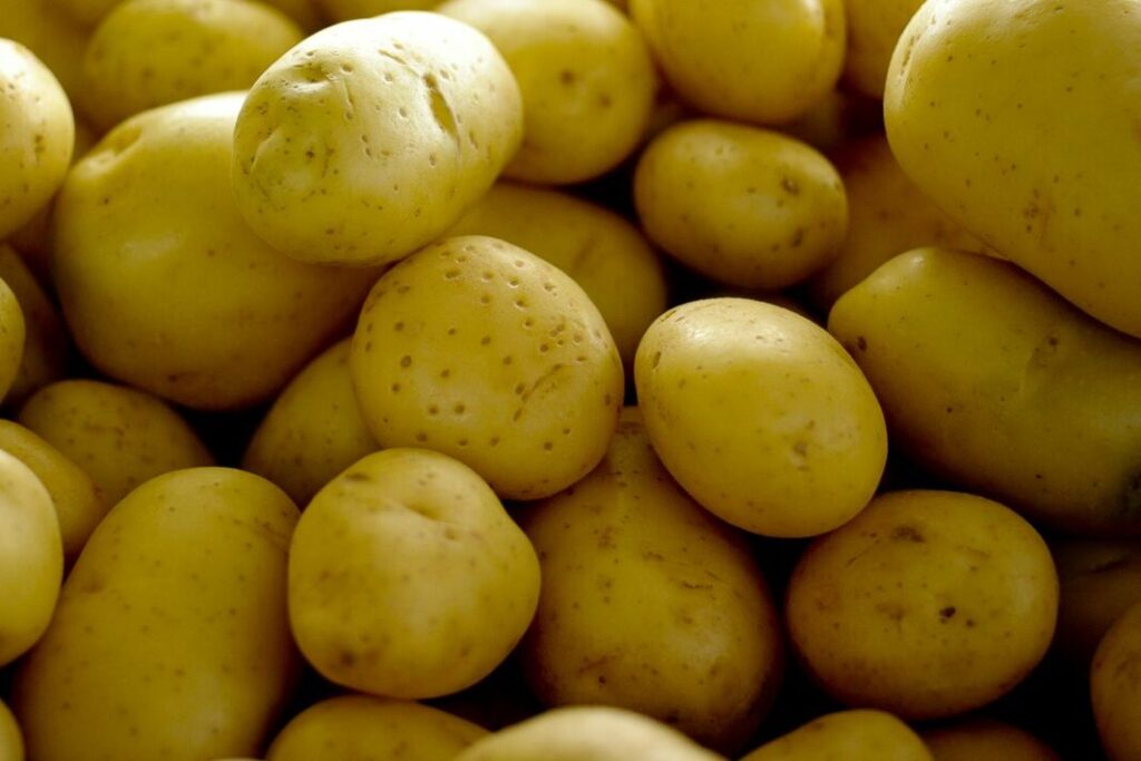 batata - cesta básica