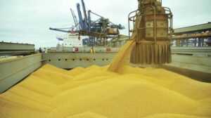 Soja sendo exportada em navios. Produto é uma dos mais produzidos pela agricultura em MT