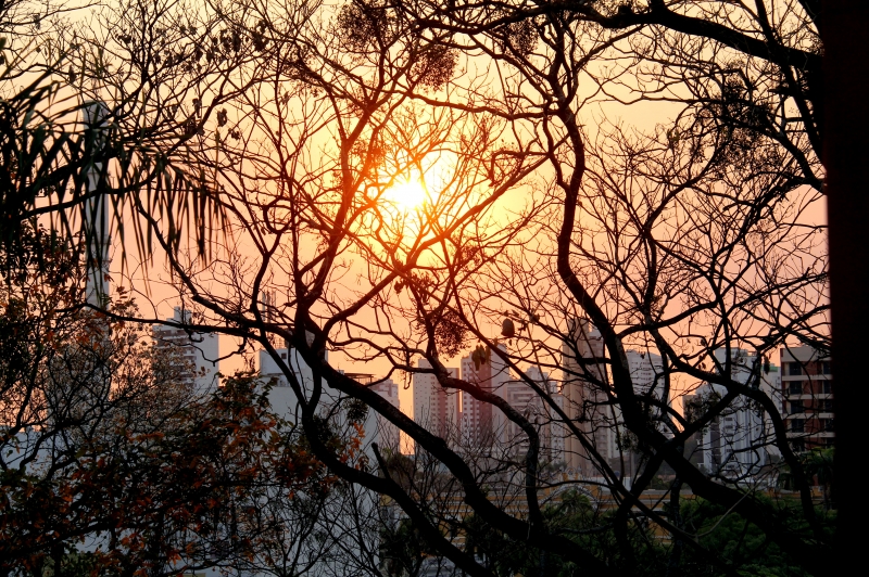 calor, temperatura, previsão do tempo