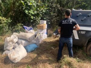 Defensivos agrícolas de origem ilícita