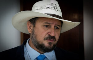 Cattani - grilo no Contorno Leste