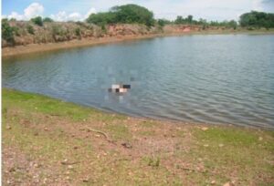 Fazenda São João - Arcanjo