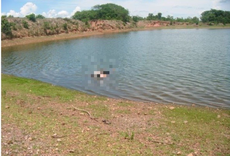 Fazenda São João - Arcanjo