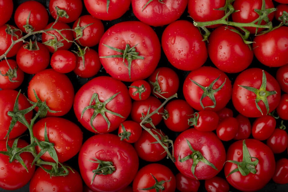 tomate - cesta básica