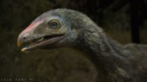 Imagem gráfica de como seria o animal do fóssil encontrado no Rio Grande do Sul