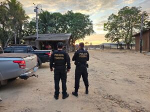 Desmatamento Amazônia