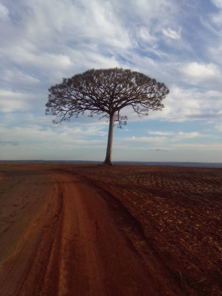 concurso fotográfico IBGE