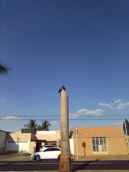 Imagens de MT no concurso fotográfico do IBGE
