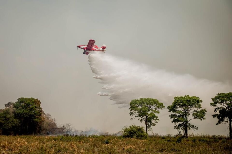 Incêndios no Pantanal