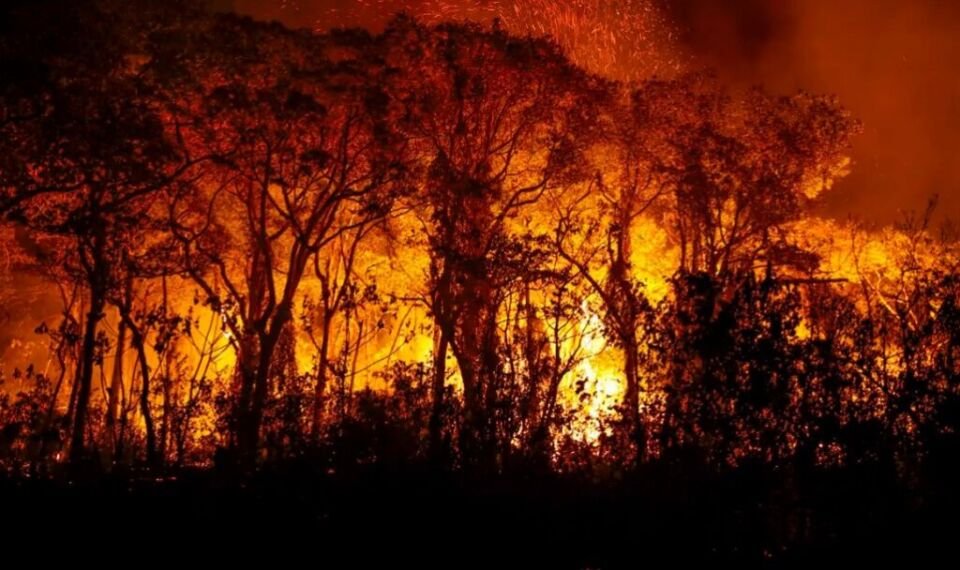 Incêndio - queimadas - Pantanal