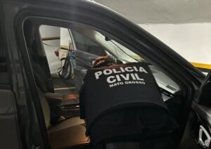 apreensão de armas de autores de violência doméstica para evitar feminicídios