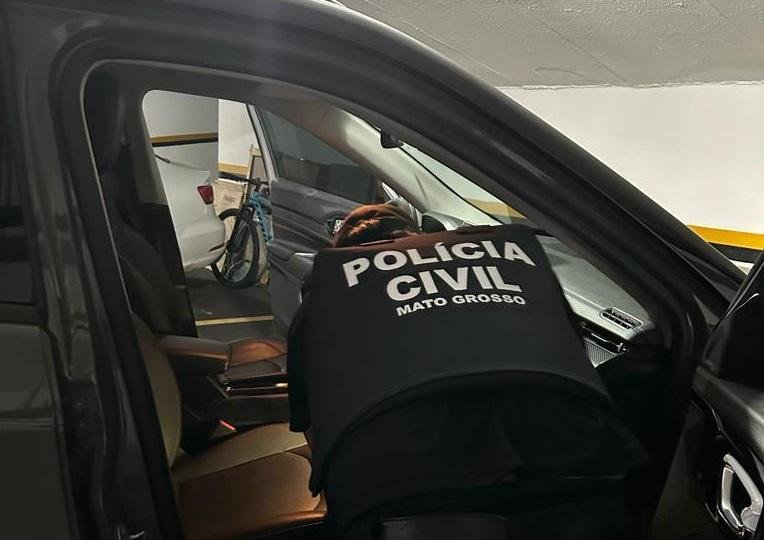 apreensão de armas de autores de violência doméstica para evitar feminicídios
