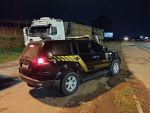 Pneus apreendidos (1)