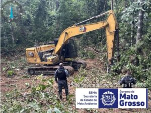 SEMA-MT OPERAÇÃO AMAZÔNIA desmatamento ilegal