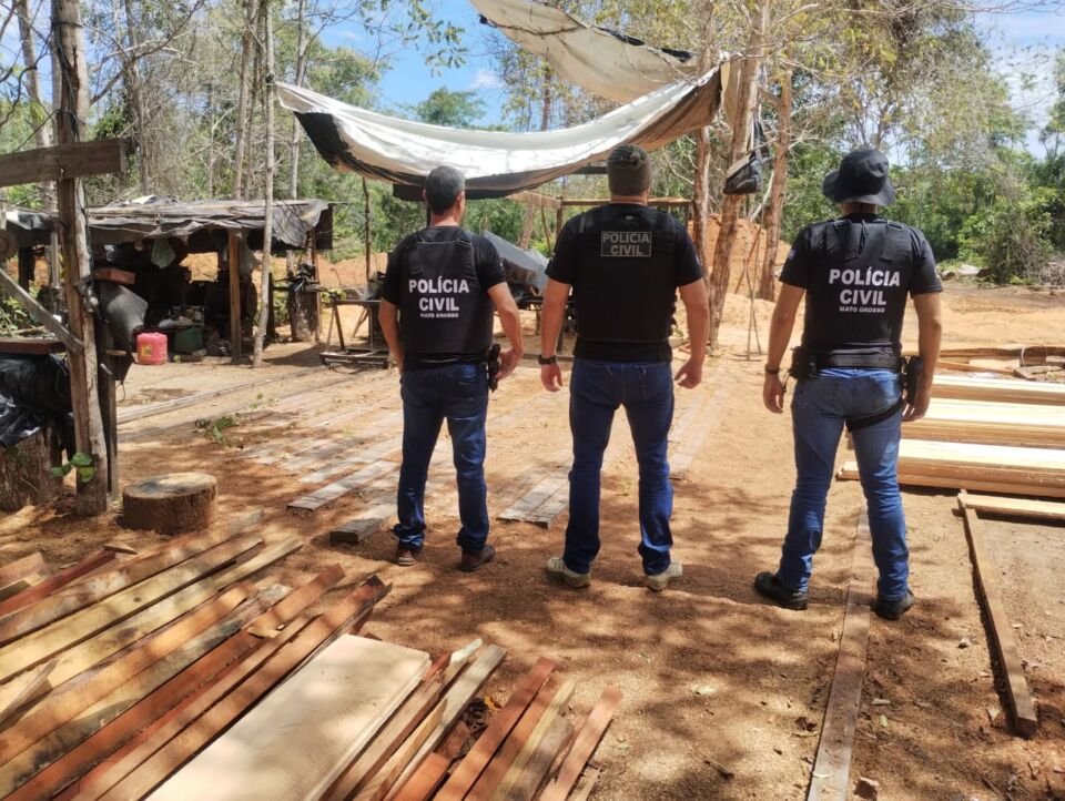 Operação extração ilegal de madeira