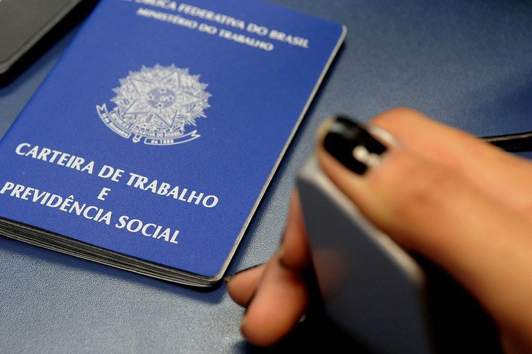 Carteira de trabalho - emprego - taxa de desocupação
