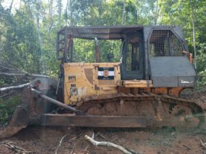 extração ilegal de madeira