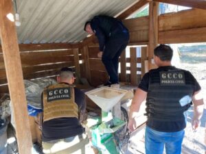 roubo de defensivos agrícolas