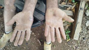 trabalho análogo à escravidão