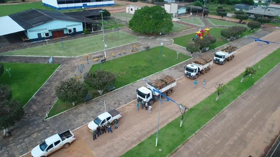 Apreensão Sema Desmatamento ilegal