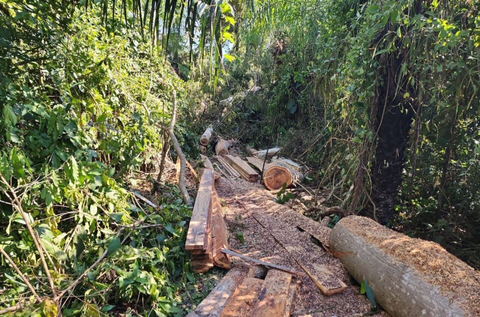 Desmatamento terras do Incra (3)
