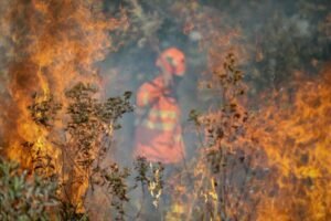 queimadas, fogo, incêndios, Pantanal