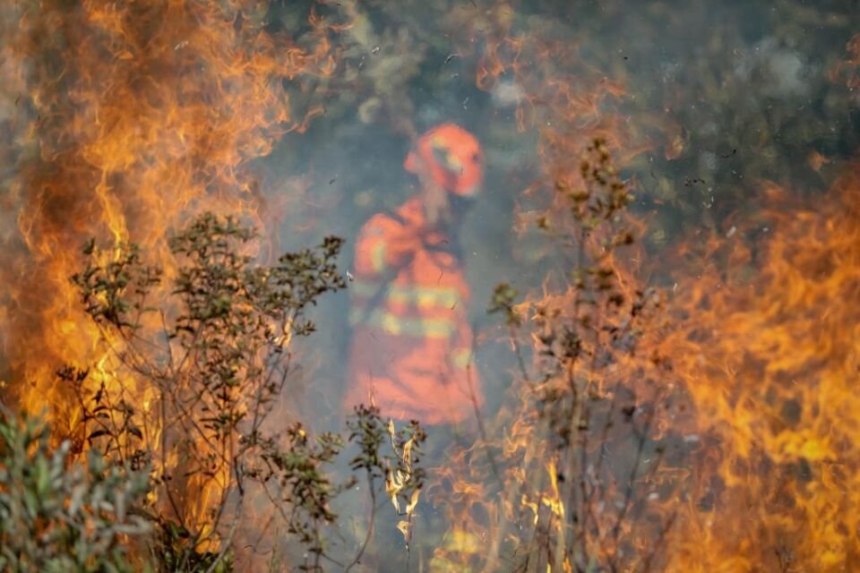 queimadas, fogo, incêndios, Pantanal