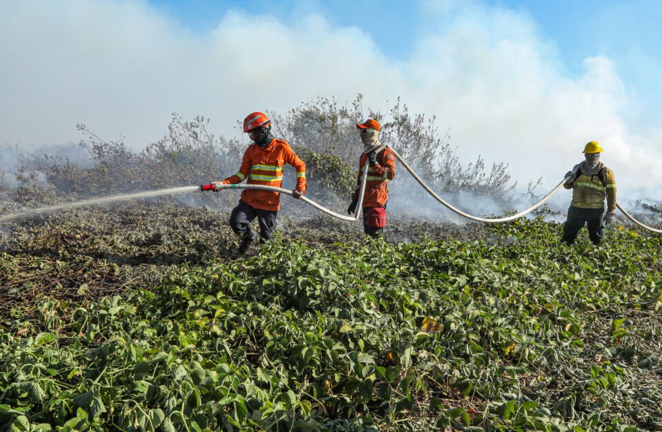 incêndios