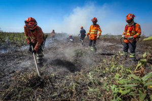 incêndios no Pantanal