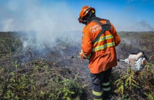 incêndios
