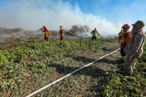 Combate à incêndios no Pantanal-109