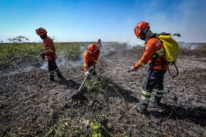 Combate a incêndios no Pantanal-66
