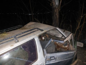 Acidente bebês MT-240