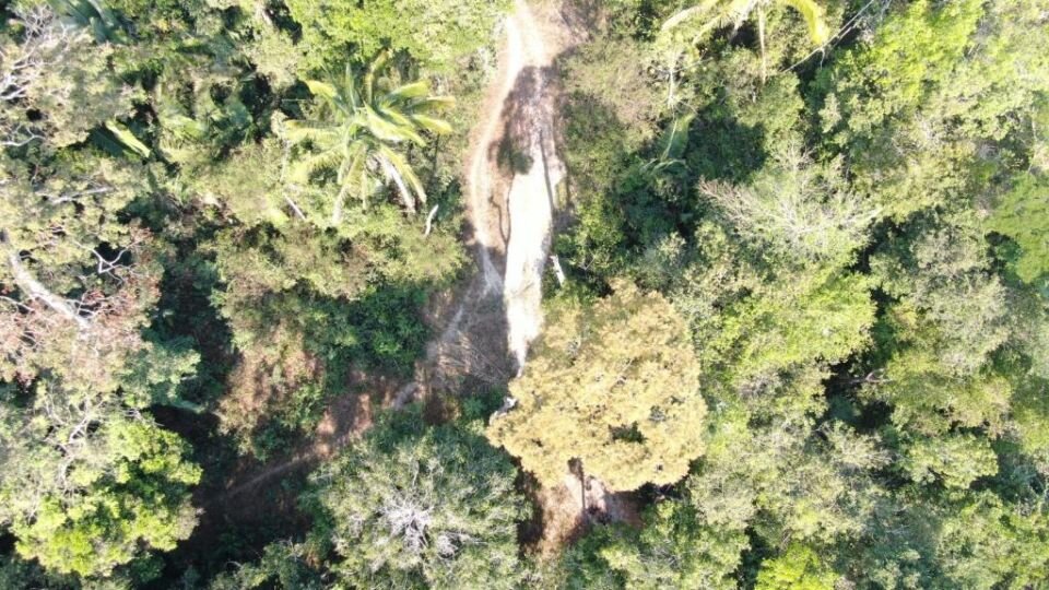 Operação Reserva Extrativista de Guariba - crimes ambientais
