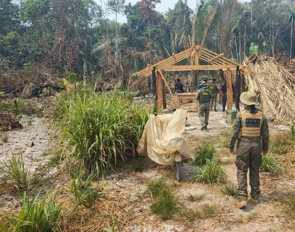 Operação Reserva Extrativista de Guariba - crimes ambientais