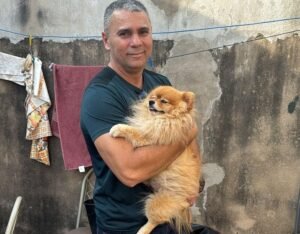 cachorros furtados