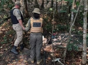 Operação crimes ambientais 2