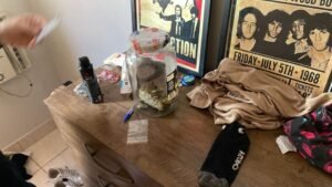 Operação tráfico de drogas (2)
