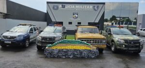 Cocaína apreendida Forças de Segurança